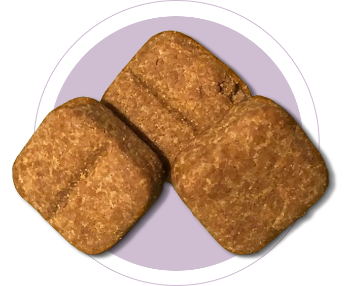A close-up of three Carprofen Soft Chewable Tablets.