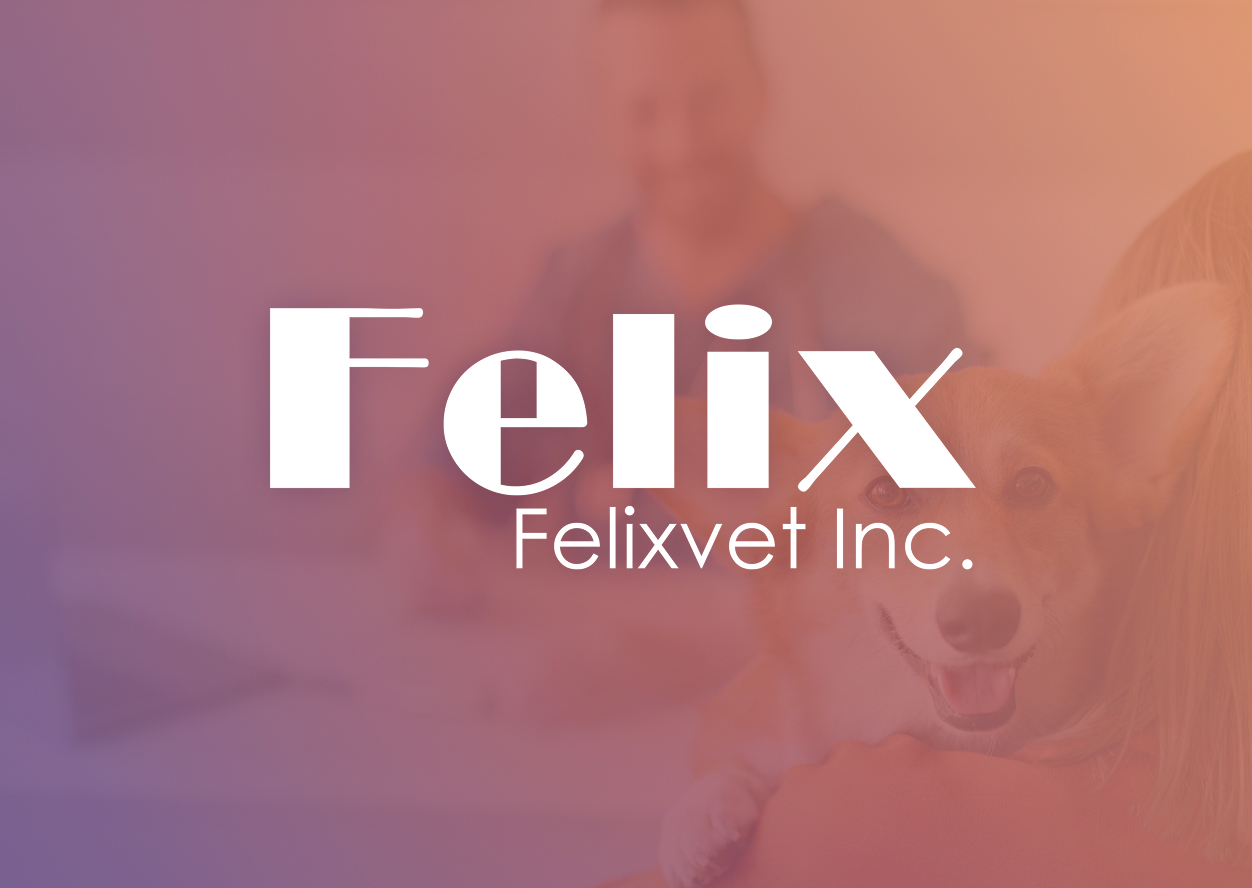 The logo for Felixvet in large white font overlaid on a soft, orange-tinted, blurred background showing a person holding a corgi dog.