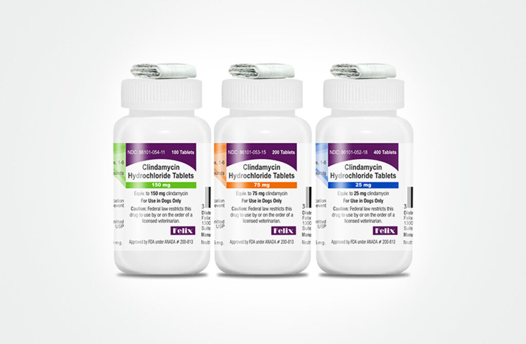 Three white bottles of Clindamycin Hydrochloride Tablets for Dogs, showing 150 mg, 75 mg, and 25 mg dosages.
