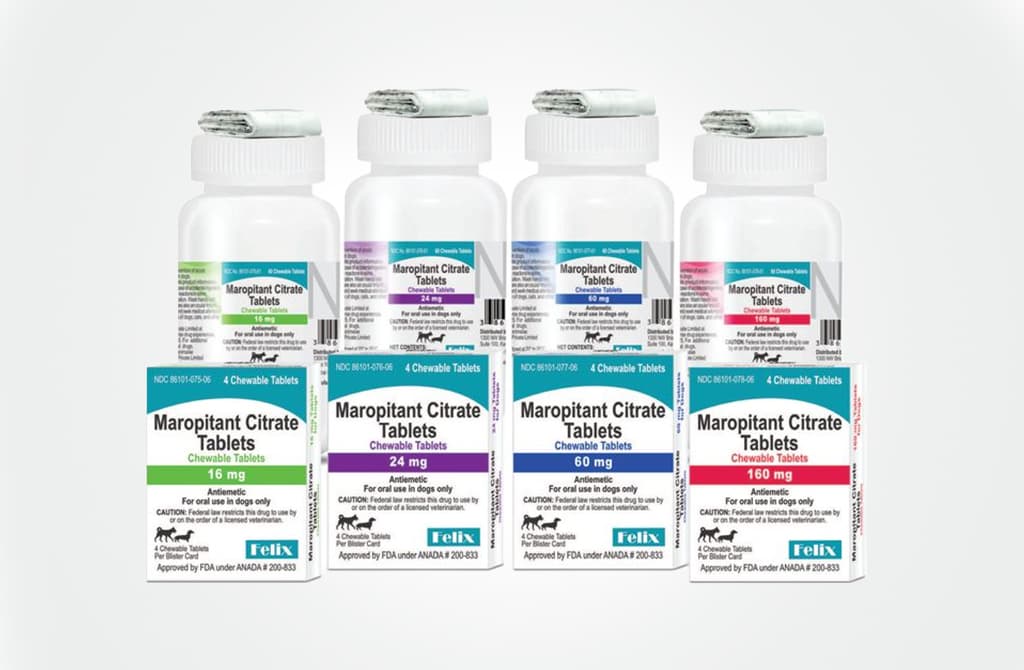 Four different strengths of Maropitant Citrate chewable tablets for dogs, shown in both boxed packages and white bottles.
