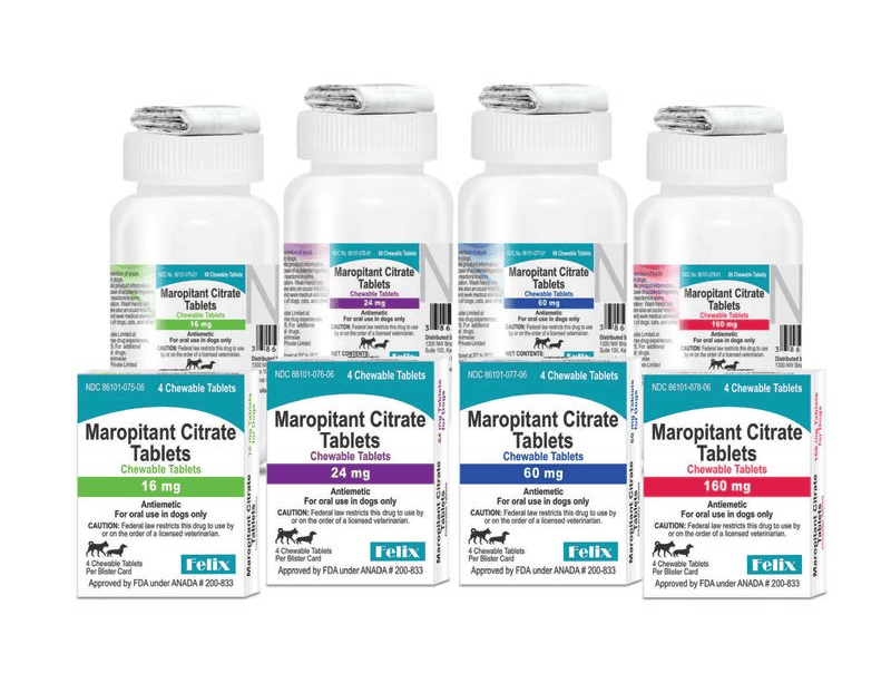Four different strengths of Maropitant Citrate chewable tablets for dogs, shown in both boxed packages and white bottles.