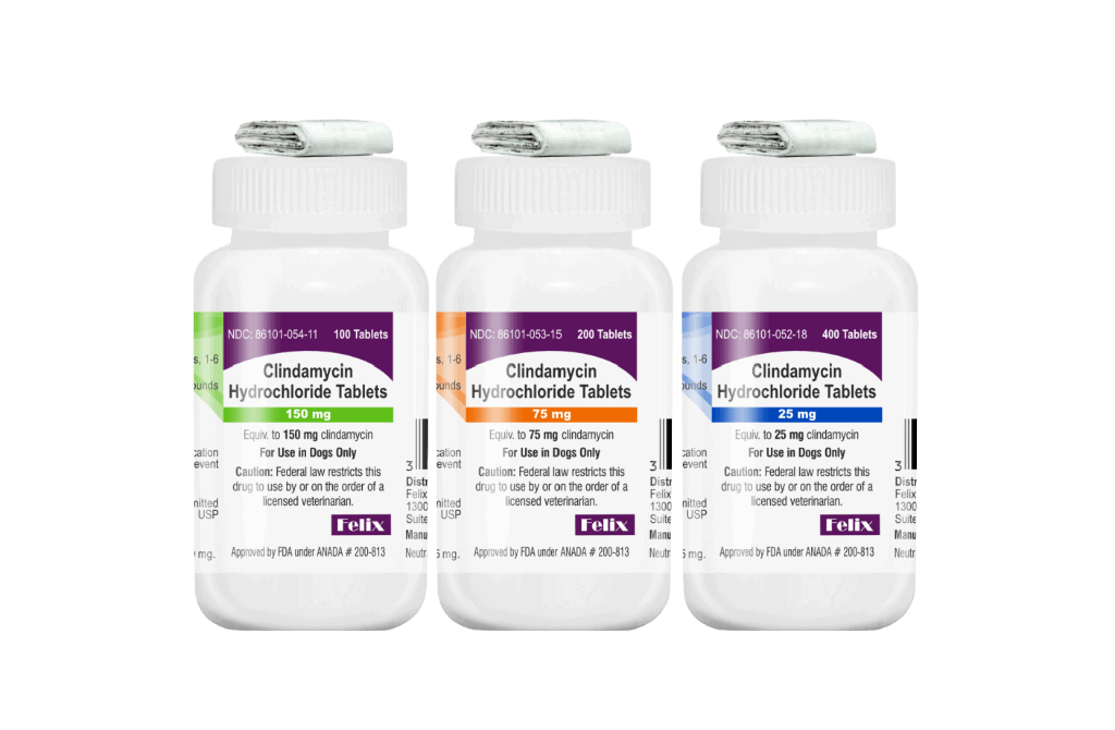 Three white plastic bottles of Clindamycin Hydrochloride Tablets for dogs, lined up side-by-side to showcase three different strengths: 150 mg, 75 mg and 25 mg.
